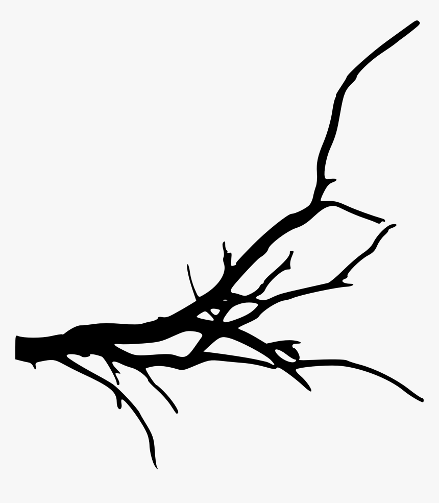 Branch Tree Silhouette Clip Art - Transparent Background Tree Branches, HD Png Download, Free Download