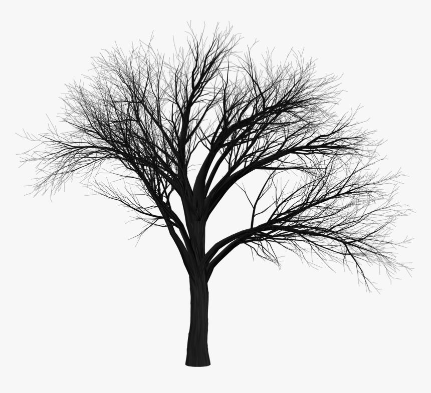 Transparent Tree Branch Silhouette Png - Scary Tree Png, Png Download, Free Download