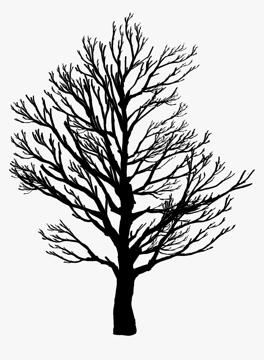 Barren Tree Silhouette - Barren Tree Silhouette Png, Transparent Png, Free Download