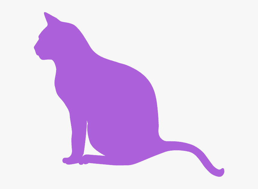 Sitting Cat Silhouettes, HD Png Download, Free Download