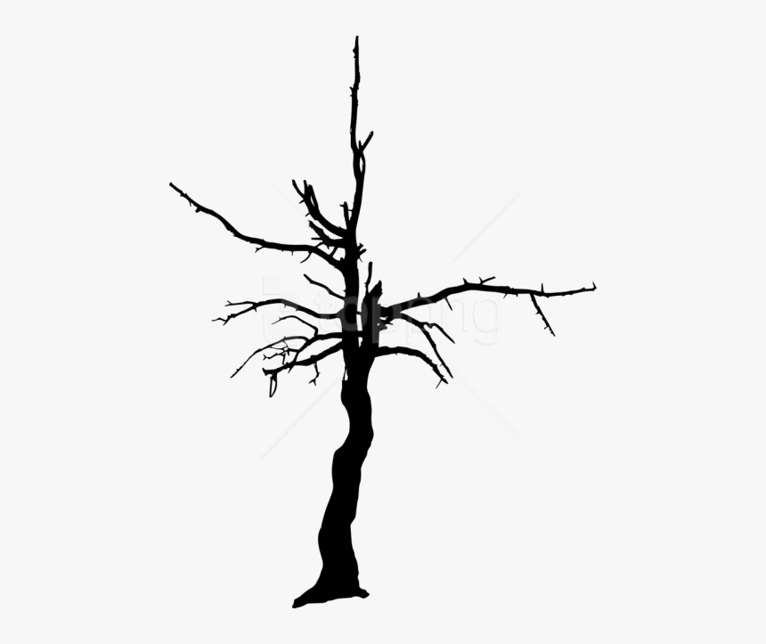 Transparent Background Burnt Trees Silhouette, HD Png Download, Free Download