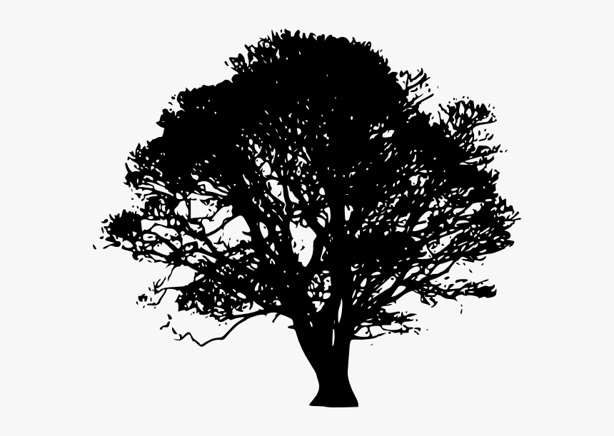 White Oak Tree Southern Live Oak Clip Art - Green Tree Silhouette Png, Transparent Png, Free Download