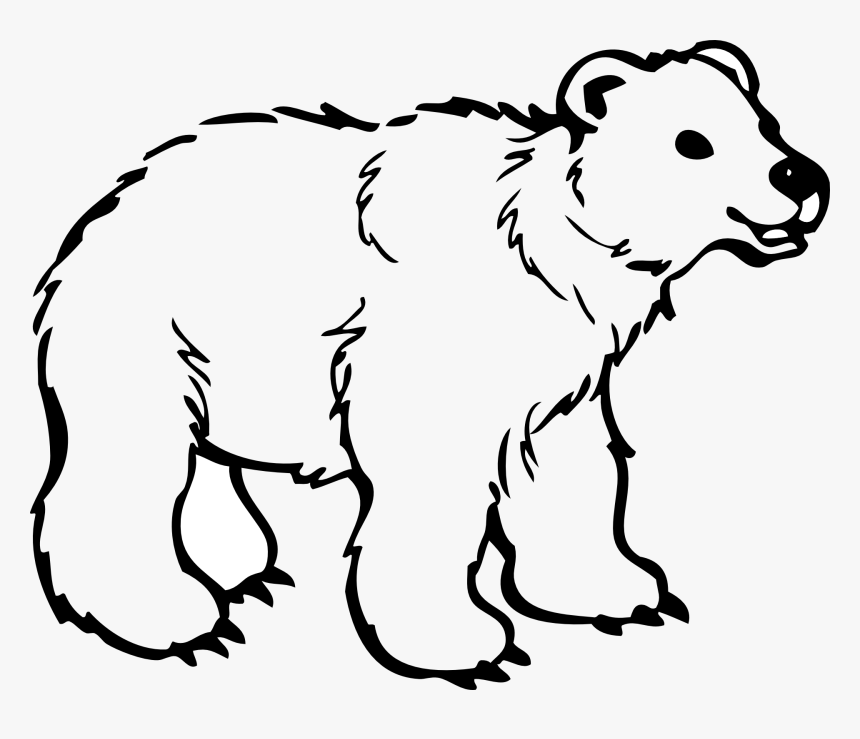 Adult Coloring Pages Of Bears Free Coloring Pages Of - Bear Animal Clipart, HD Png Download, Free Download