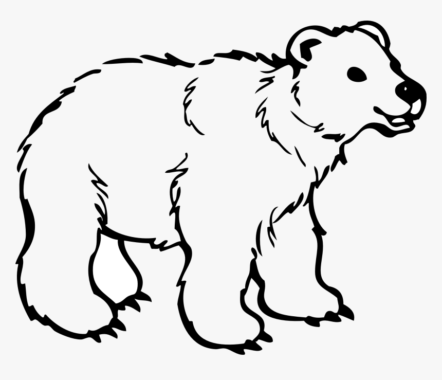 420  Bear Coloring Pages Adults  Free