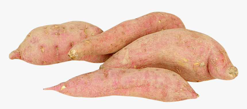 Sweet Potato Png, Transparent Png, Free Download