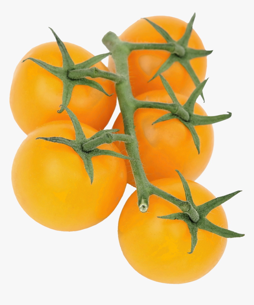 Potato Plant Png , Png Download - Free Stock Image Yellow Cherry Tomatoes, Transparent Png, Free Download