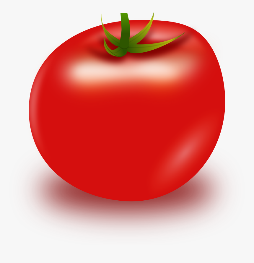 Tomato,superfood,plant - Tomato Cliparts, HD Png Download, Free Download