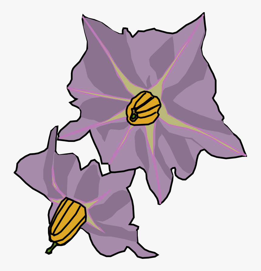 Potato Flower Drawing Clipart , Png Download - Potato Flower Drawing, Transparent Png, Free Download