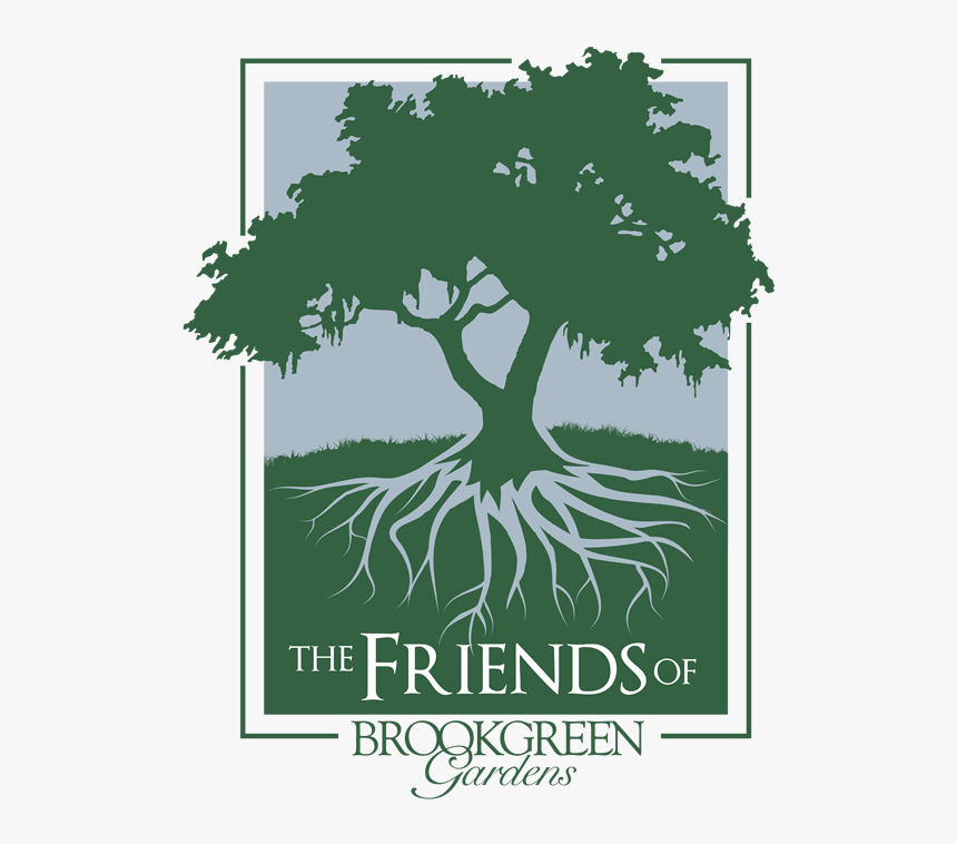 Transparent Group Of Friends Png - Oak Tree Moss Vector, Png Download, Free Download
