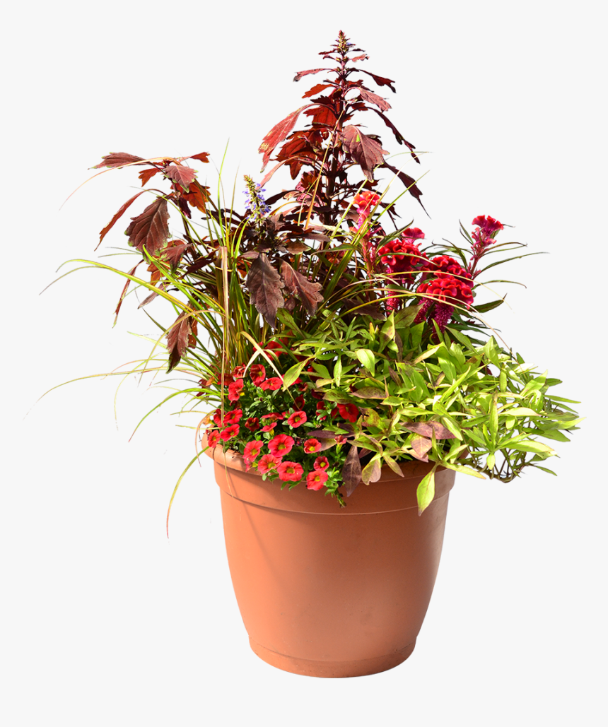 Flowerpot, HD Png Download, Free Download