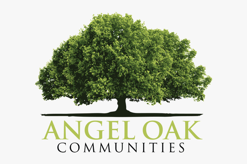 Angel Oak Communities - Mexican Pinyon, HD Png Download, Free Download