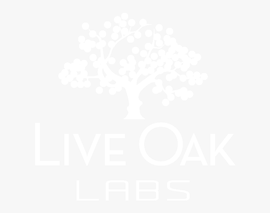 Live Oak Labs - Aorus Gtx 1050 Ti, HD Png Download, Free Download