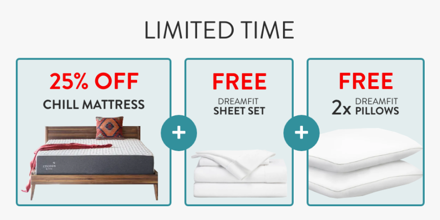Exclusive Cocoon By Sealy Offer - Bed Frame, HD Png Download, Free Download