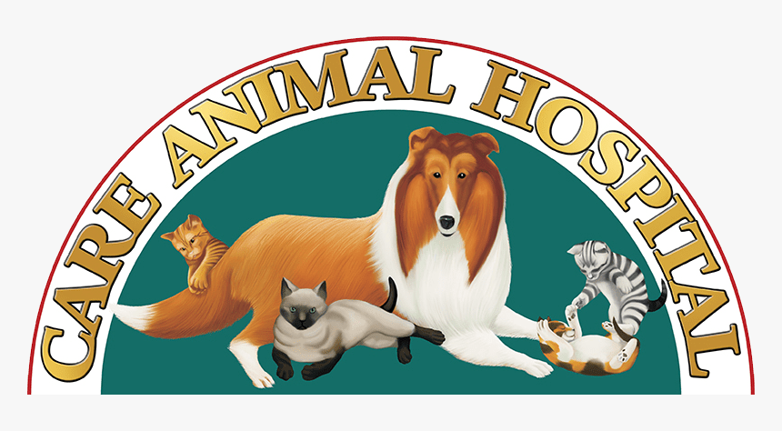 Care Animal Hospital Logo2 - Rough Collie, HD Png Download, Free Download