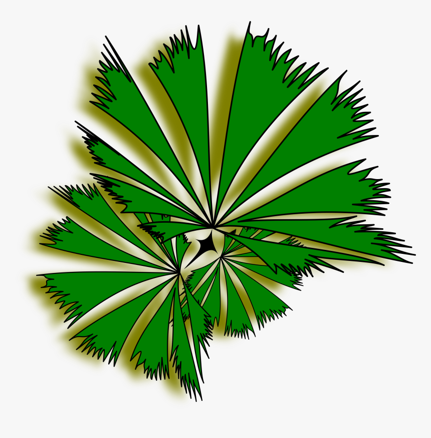 Palm Tree Clipart Top - Top View Tree Png, Transparent Png, Free Download