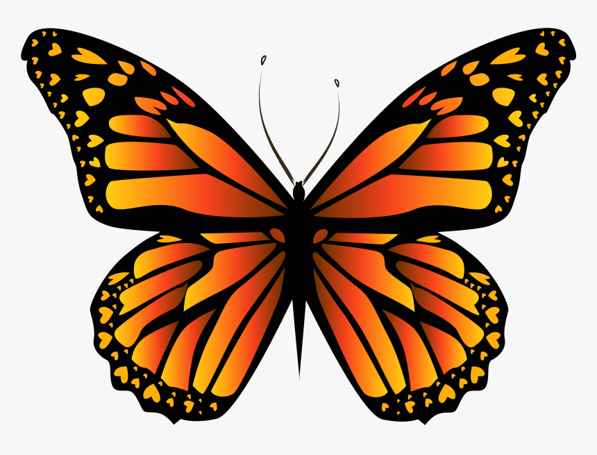 Orange Butterfly Png Clipar Image Yellow Butterfly - Monarch Butterfly, Transparent Png, Free Download