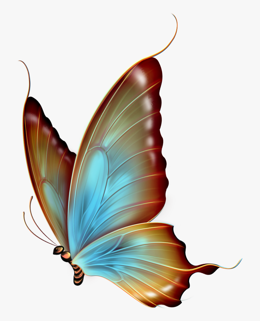 Clipart Of Owned, Transparent And Moreover - Transparent Background Gold Butterfly, HD Png Download, Free Download