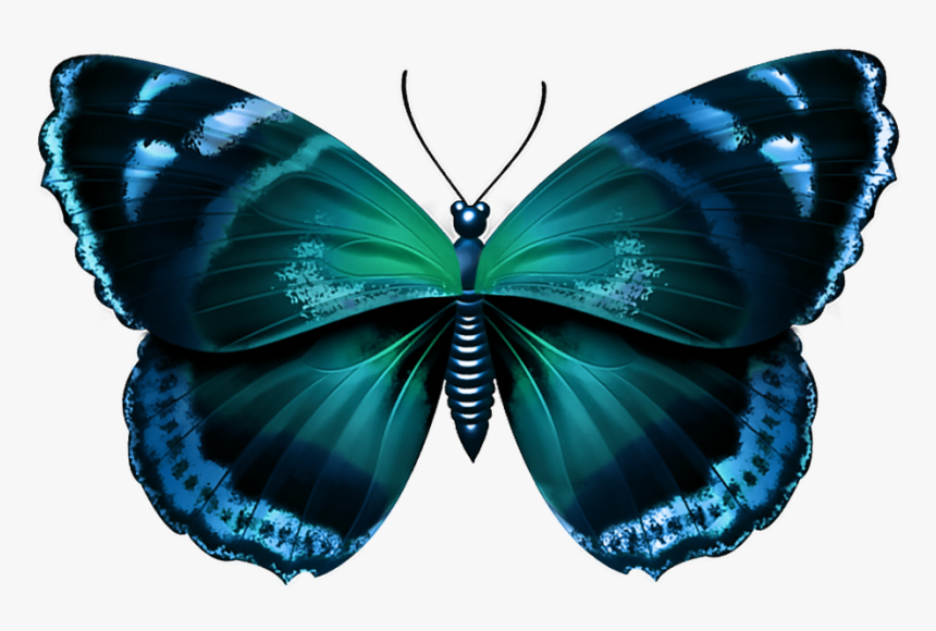 Clip Art Png Image Gallery Yopriceville - Png Free Butterfly Transparent, Png Download, Free Download