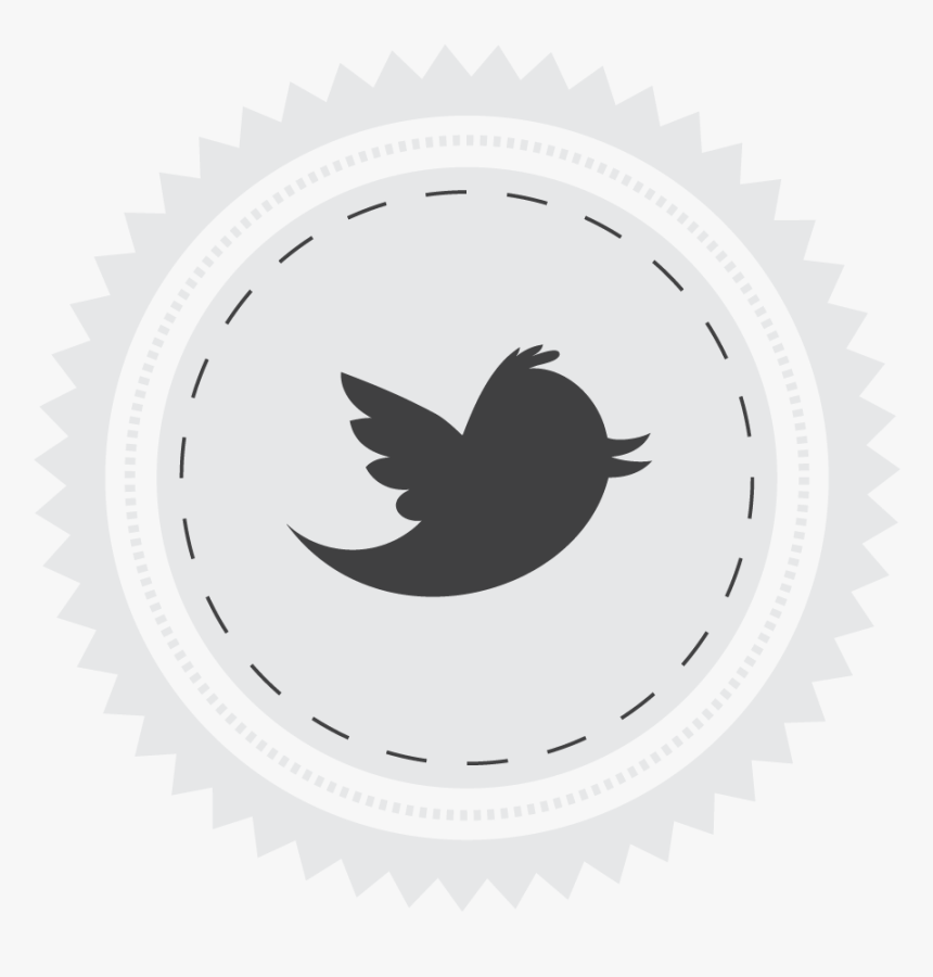 Transparent Background Twitter Icon Png Download Twitter Png Download Kindpng