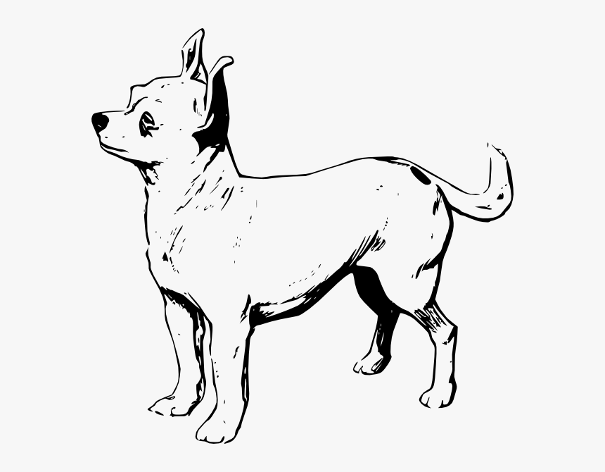 Dog Svg Clip Arts - Chihuahua Black And White Drawing, HD Png Download, Free Download