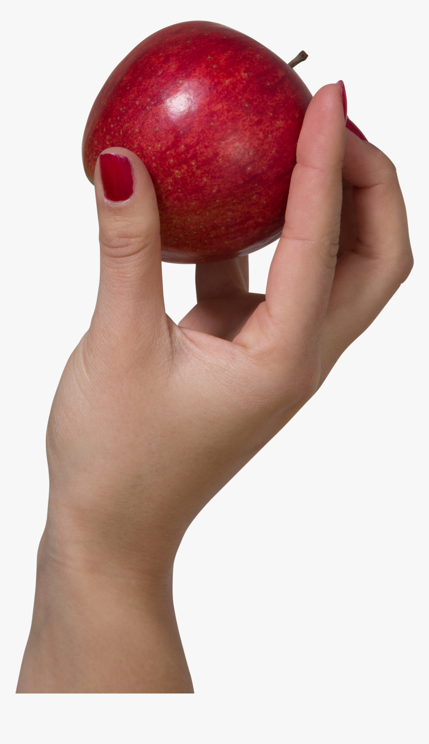A Hand Holding A Red Apple Png Image - Apple In Hand Png, Transparent Png, Free Download