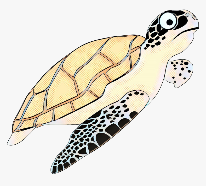 Turtle Vector Png - Hawksbill Sea Turtle Cartoon, Transparent Png, Free Download