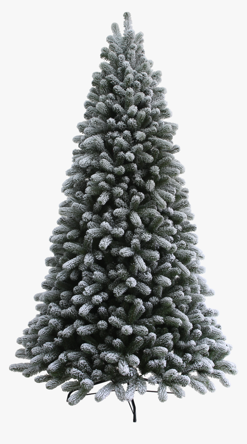 12 - 4ft Frosted Christmas Tree, HD Png Download, Free Download