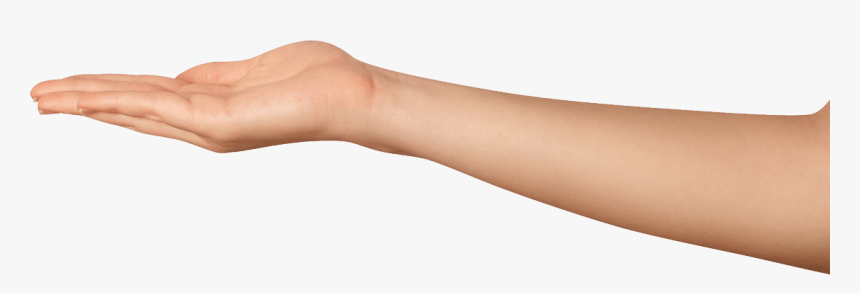 Beautiful Women Hand Png - Hand With Arm Png, Transparent Png, Free Download