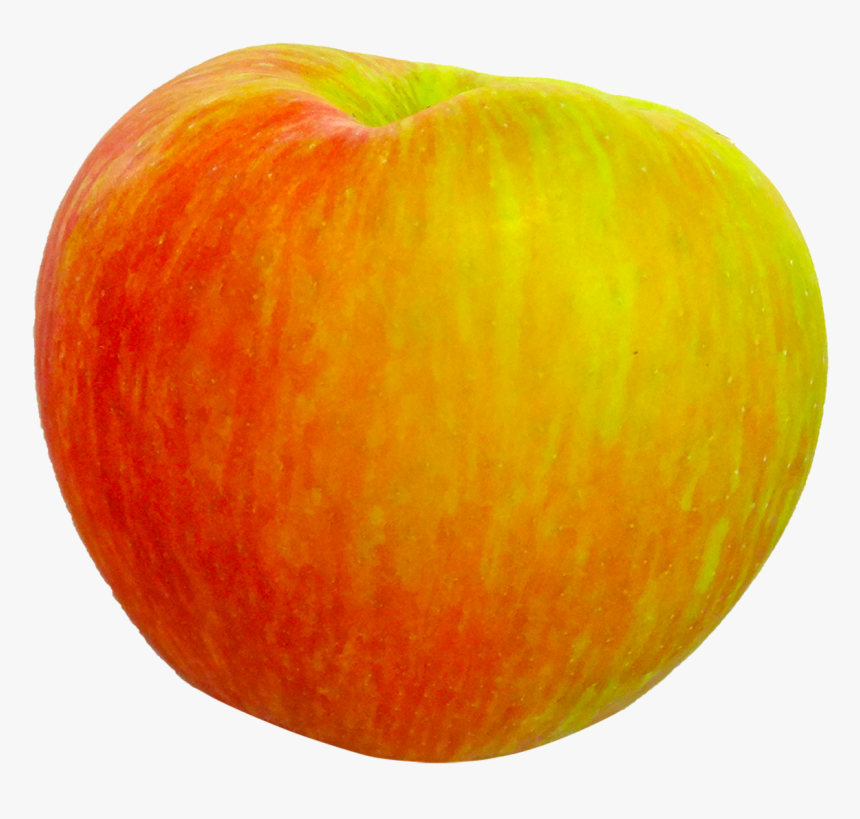 Honeycrisp, Apple, Fruit, Food, Healthy, Honey Crisp - Honeycrisp Apple Png, Transparent Png, Free Download