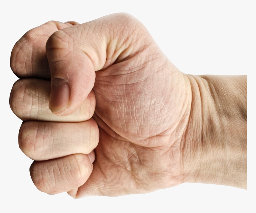 Hand Png, Transparent Png, Free Download