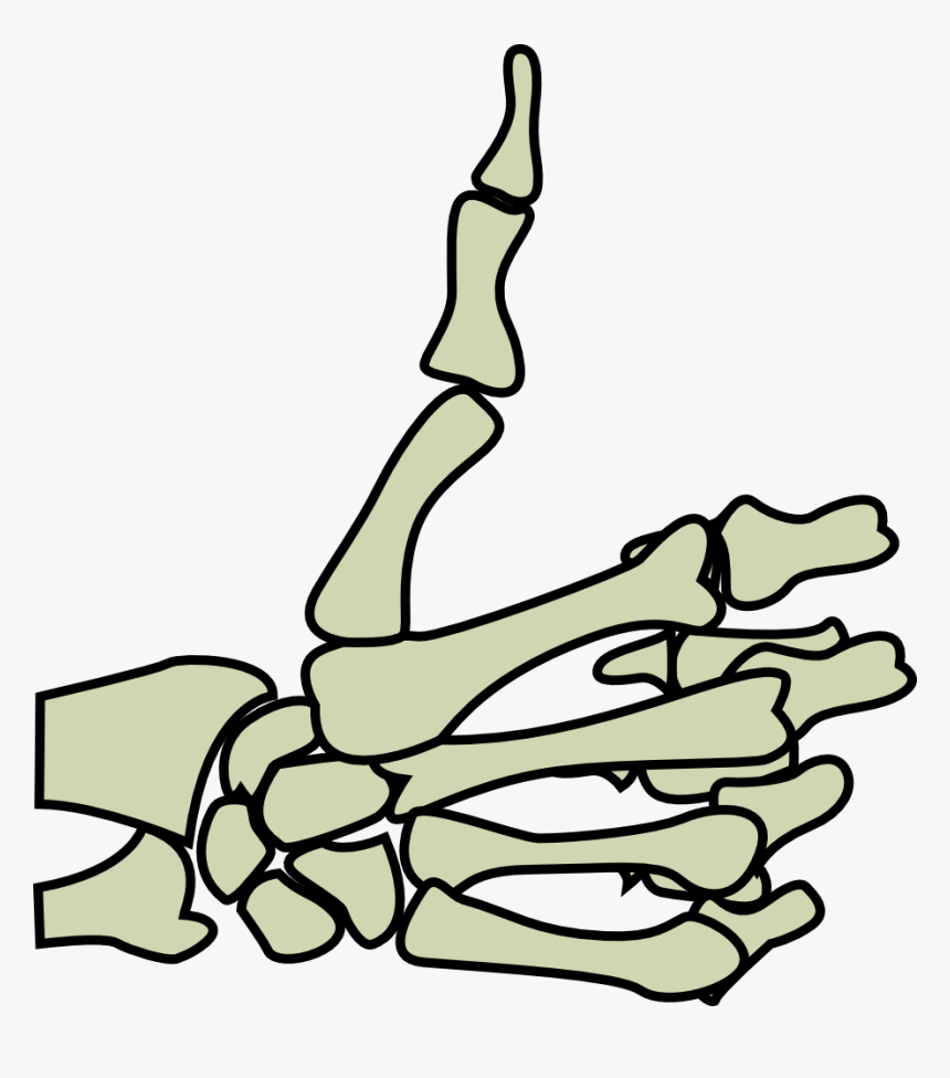You Need To Login To View This Link Hopefully This - Skeleton Hand Thumbs Up Png, Transparent Png, Free Download