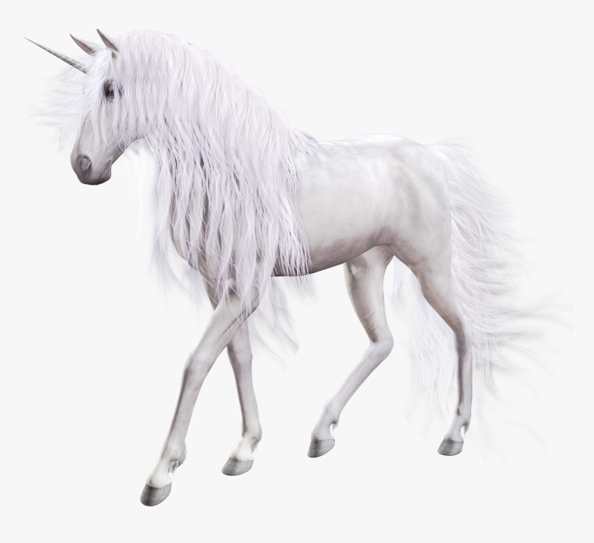 Unicorn Png, Transparent Png, Free Download