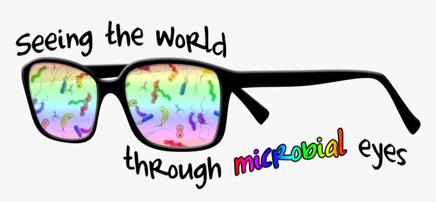 Funny Glasses Png - Colorfulness, Transparent Png, Free Download