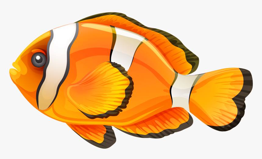 Clownfish Clip Art - Transparent Background Fish Clipart Transparent, HD Png Download, Free Download