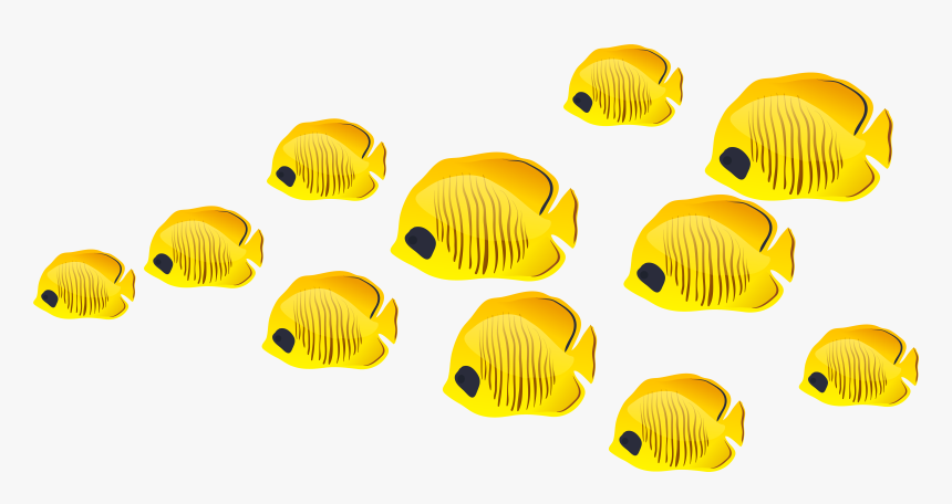 Fish Clip Art - No Background Fish Clipart, HD Png Download, Free Download