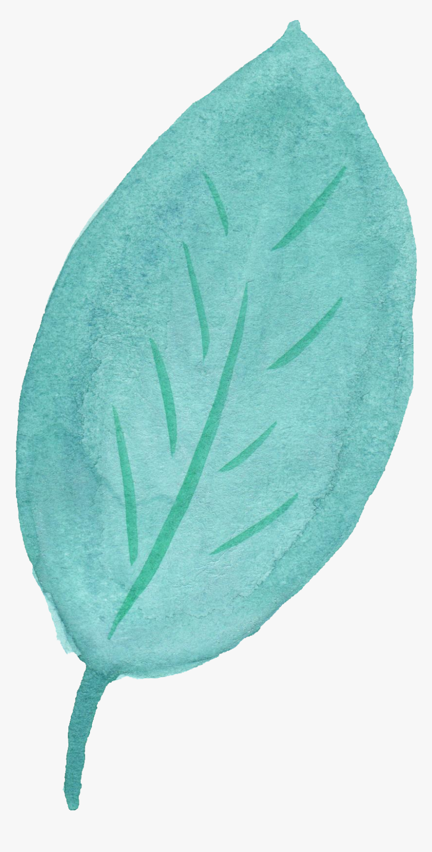 Leaf Watercolor No Background, HD Png Download, Free Download