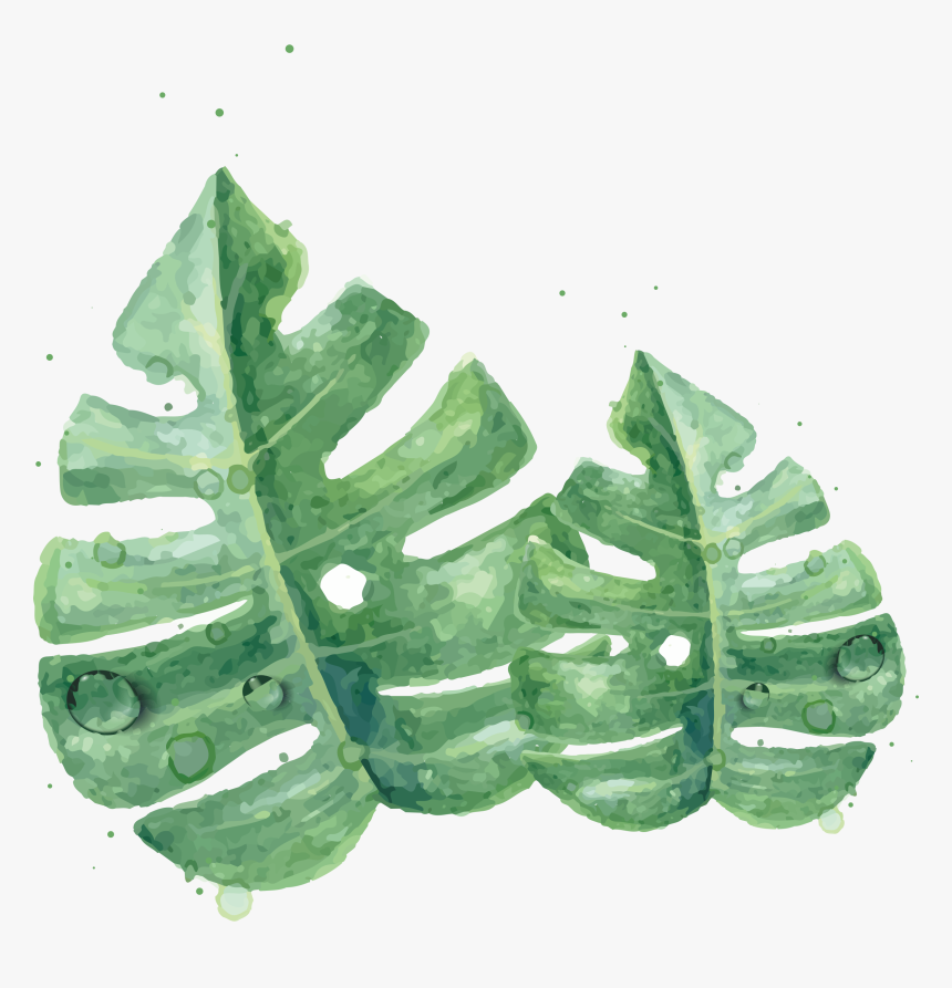 Transparent Watercolor Leaves Png - Watercolor Green Maple Leaf Png, Png Download, Free Download