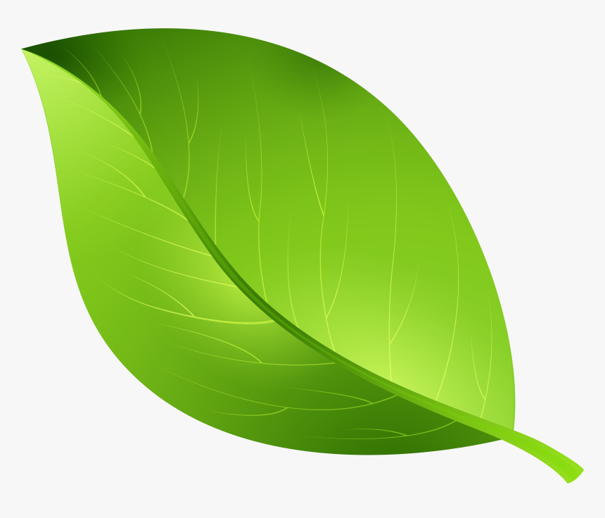 Leaf Clip Art, HD Png Download, Free Download