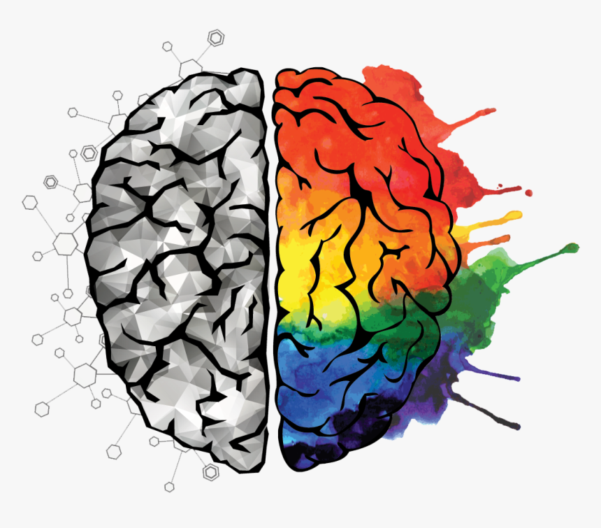 Linke Und Rechte Gehirnhälfte Zeichnen - Learning Brain, HD Png Download, Free Download