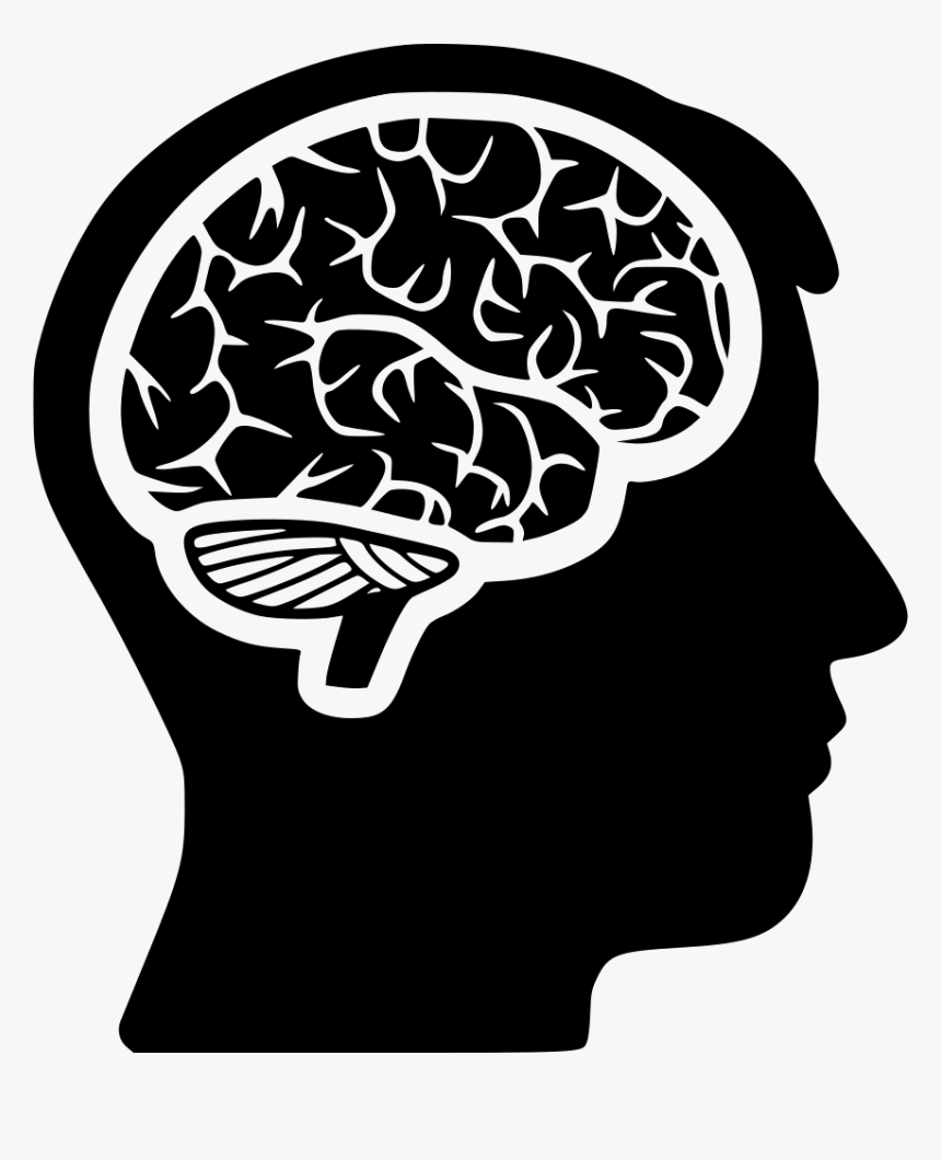 Head And Brain Png - Head With Brain Png, Transparent Png, Free Download