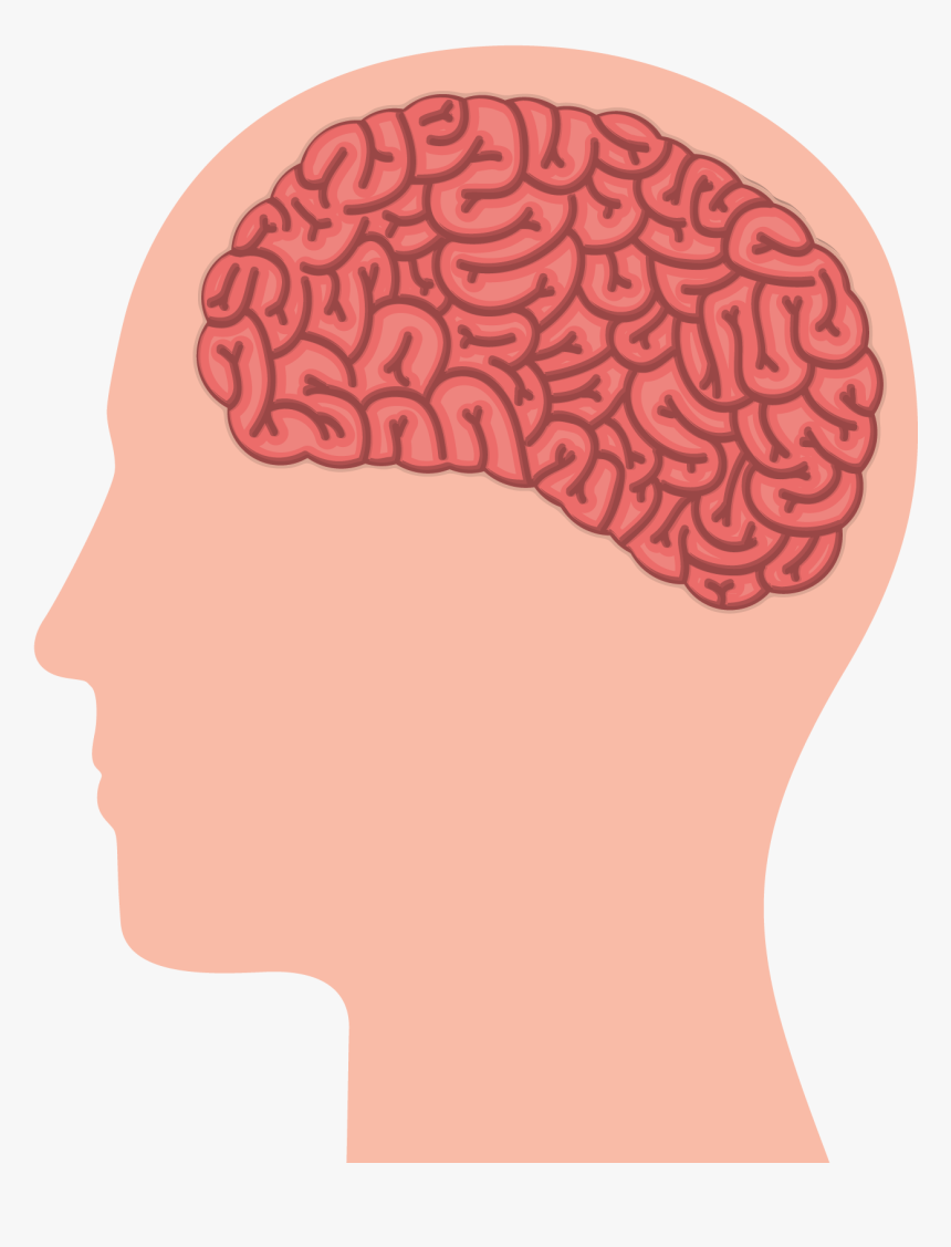 Working Vector Human Brain - Do You Stay Mentally Healthy, HD Png Download, Free Download