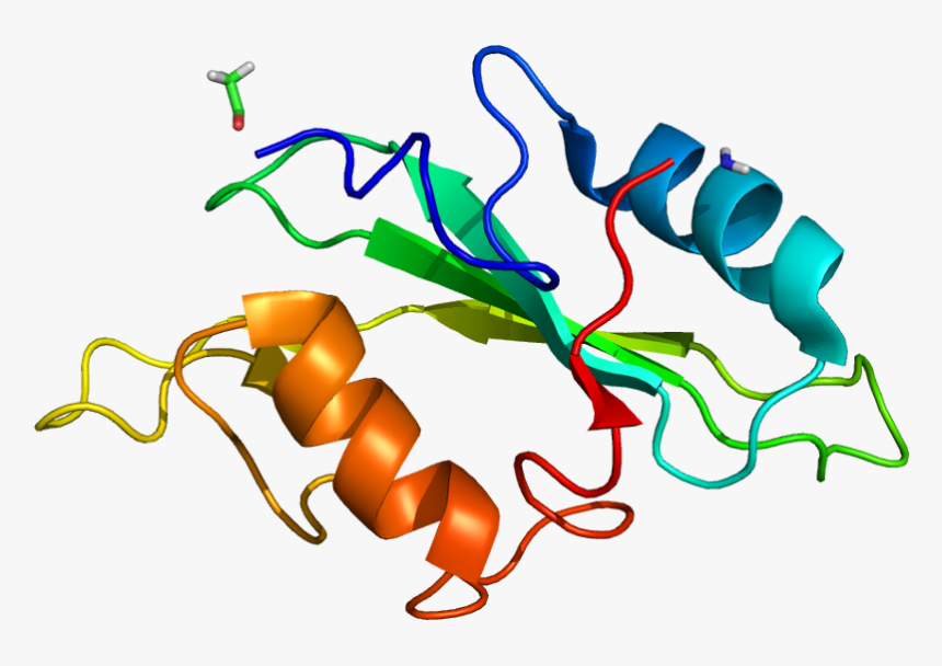 Protein Itk Pdb 1lui No Fog - Graphic Design, HD Png Download, Free Download
