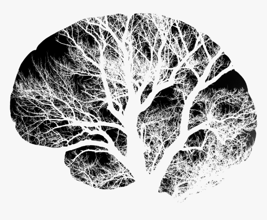 Brain Neurons Black And White, HD Png Download, Free Download