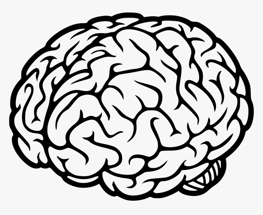 Brain pdf. Мозг очертания. Мозг векторное изображение. Мозг нарисованный. Мозг контур.