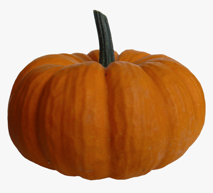 Download Pumpkin Png File - Pumpkin Png Transparent, Png Download, Free Download