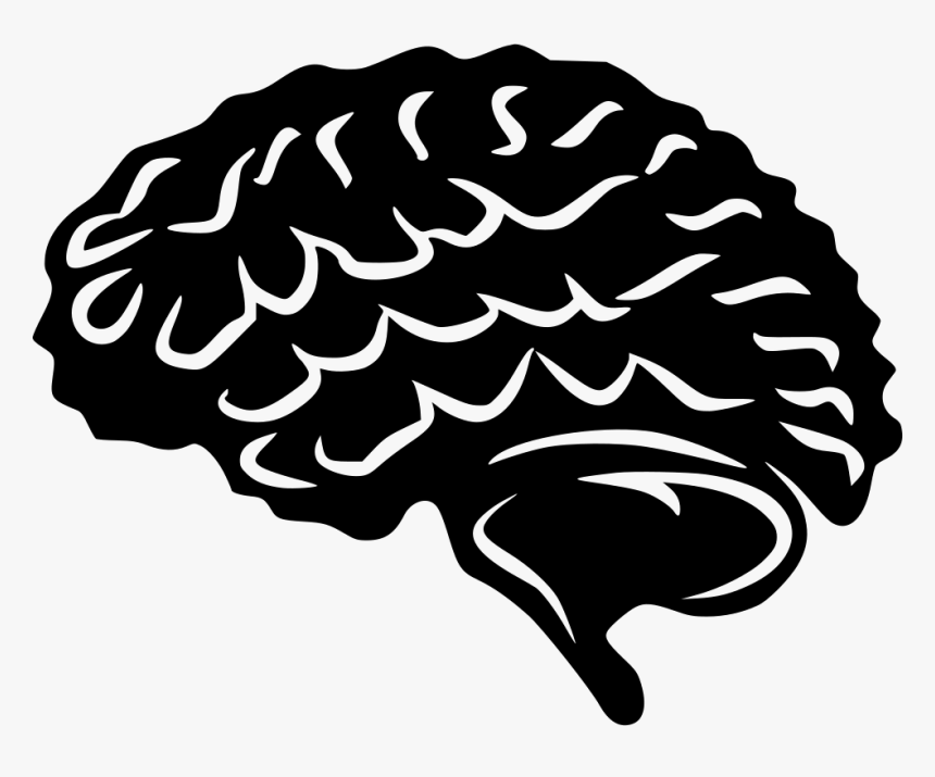 Brain, HD Png Download, Free Download