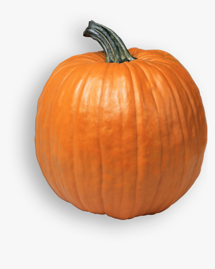 Transparent Pumpkin Farm Clipart - Pumpkin Png, Png Download, Free Download