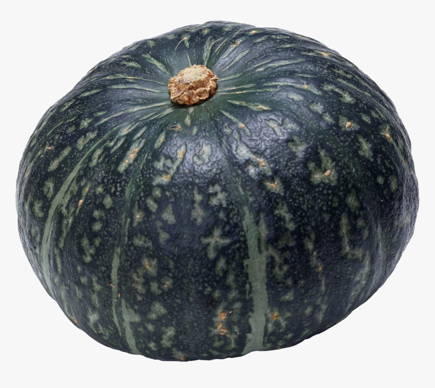 Pumpkin - Japanese Pumpkin Png, Transparent Png, Free Download