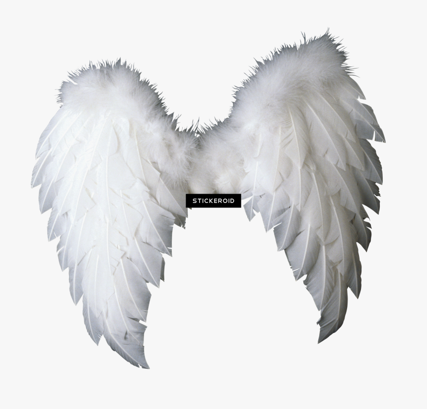 baby angel wings
