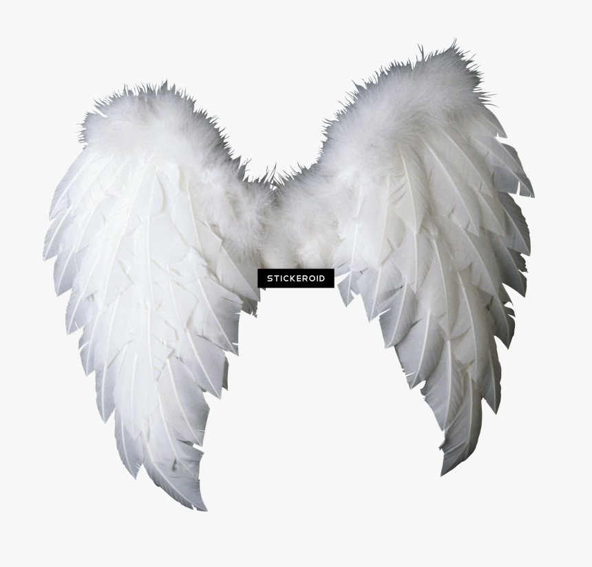 Baby Angel Wings Png , Png Download - Baby Angel Wings Png, Transparent Png, Free Download